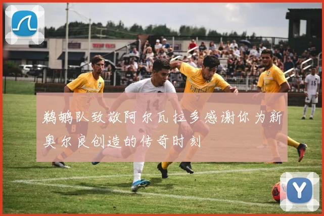 鹈鹕队致敬阿尔瓦拉多感谢你为新奥尔良创造的传奇时刻